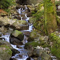 Buy canvas prints of Greenhead Gill, Grasmere, Lake District National P by Louise Heusinkveld