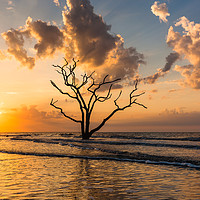 Buy canvas prints of Edisto Island Sunrise I by Clarence Holmes
