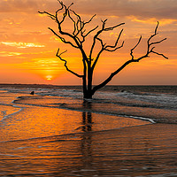 Buy canvas prints of Edisto Island Sunrise IV by Clarence Holmes
