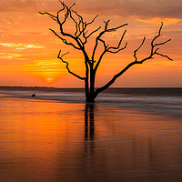 Buy canvas prints of Edisto Island Sunrise V by Clarence Holmes