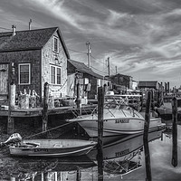 Buy canvas prints of Menemsha Basin Early Light II by Clarence Holmes