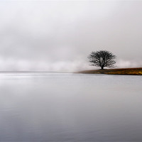 Buy canvas prints of Lonely in the mist by Robert Fielding