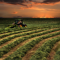 Buy canvas prints of Hay makers sunset by Robert Fielding