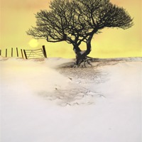 Buy canvas prints of Winters glow by Robert Fielding