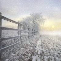 Buy canvas prints of Winters nip by Robert Fielding