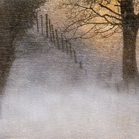 Buy canvas prints of A winters glow by Robert Fielding