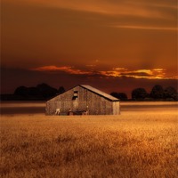 Buy canvas prints of The field barn by Robert Fielding