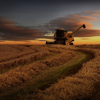 Buy canvas prints of Harvester sunset by Robert Fielding