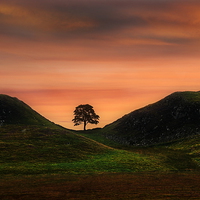 Buy canvas prints of Sycamore gap by Robert Fielding