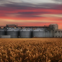 Buy canvas prints of Sunrise over the grain store by Robert Fielding