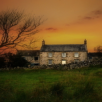 Buy canvas prints of Country life on Hadrian s wall by Robert Fielding