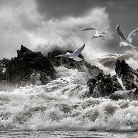Buy canvas prints of Stormy sea's  by Robert Fielding