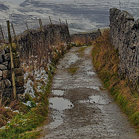 Buy canvas prints of A dales way by Robert Fielding
