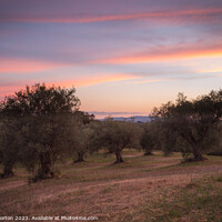 Buy canvas prints of Sunset Sky Tuscany by Angie Morton