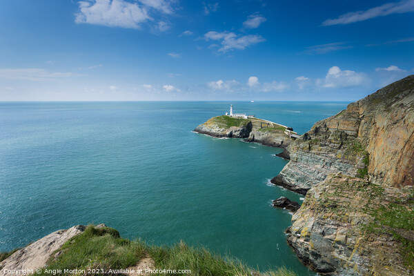 South Stack Lighthouse I Picture Board by Angie Morton