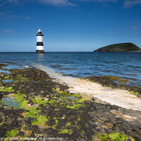 Buy canvas prints of Trwyn Du Lighthouse and Puffn Island by Angie Morton