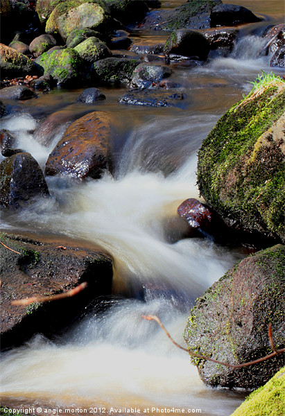 Smooth Water at Padley Gorge Picture Board by Angie Morton