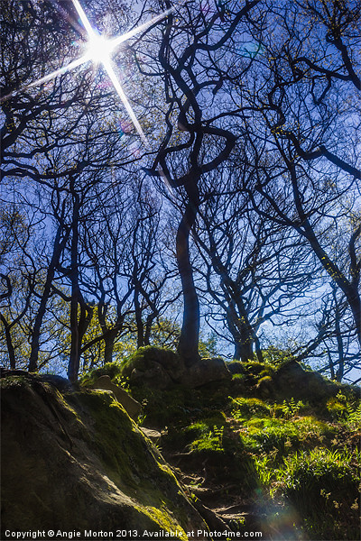 Starring Padley Gorge Picture Board by Angie Morton
