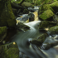 Buy canvas prints of Padley Gorge 1 by Angie Morton