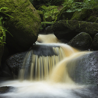 Buy canvas prints of Padley Gorge 2 by Angie Morton