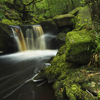 Buy canvas prints of Padley Gorge 3 by Angie Morton