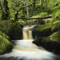 Buy canvas prints of Padley Gorge 4 by Angie Morton