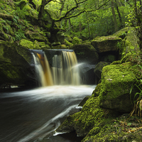 Buy canvas prints of Burbage Brook Fall by Angie Morton