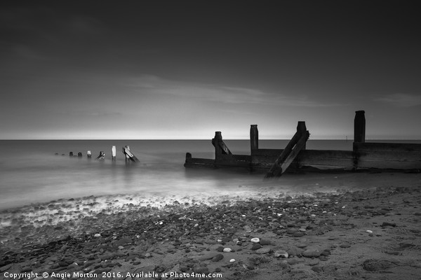 Withersea Beach Groyne Picture Board by Angie Morton