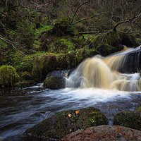 Buy canvas prints of Wyming Brook Flow by Angie Morton
