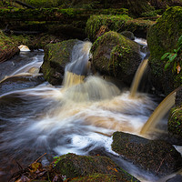 Buy canvas prints of Wyming Brook Pool by Angie Morton