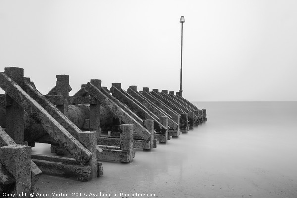 Hornsea Groyne  Picture Board by Angie Morton