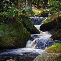 Buy canvas prints of Spring Into Wyming Brook by Angie Morton