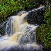 Buy canvas prints of Wyming Brook in Flow by Angie Morton