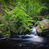 Buy canvas prints of Wyming Brook in Spring by Angie Morton
