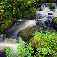 Buy canvas prints of Babbling Wyming Brook by Angie Morton