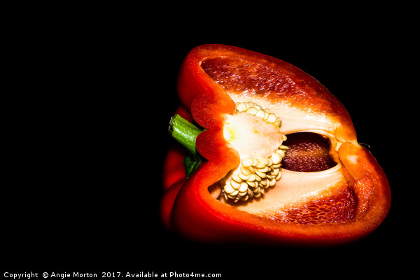 The Naked Capsicum Picture Board by Angie Morton