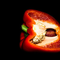 Buy canvas prints of The Naked Capsicum by Angie Morton