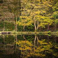 Buy canvas prints of Hind Wheel Millpond Reflections by Angie Morton