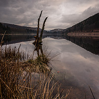 Buy canvas prints of Derwent in Portrait by Angie Morton