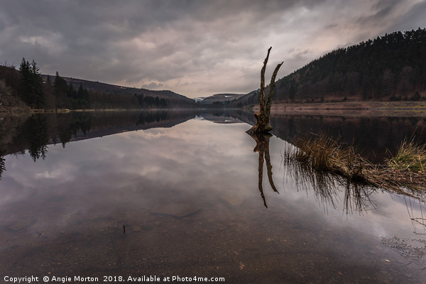 Upper Derwent Reservoir Reflections Picture Board by Angie Morton