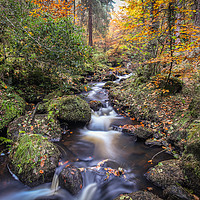 Buy canvas prints of Wyming Brook Autumn Landscape by Angie Morton