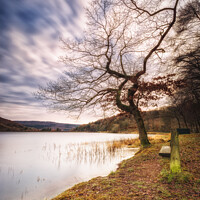 Buy canvas prints of Morehall Reservoir Companions  by Angie Morton