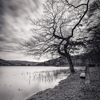 Buy canvas prints of Morehall Reservoir Companions in Mono by Angie Morton