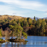Buy canvas prints of The ever beautiful, Tarn Howes by Mark Battista