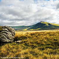 Buy canvas prints of Ingleborough peak Yorkshire Dales by Diana Mower