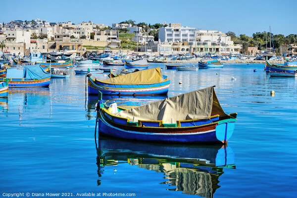 Marsaxlokk Bay Malta Picture Board by Diana Mower