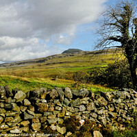 Buy canvas prints of Yorkshire Dales Landscape  by Diana Mower