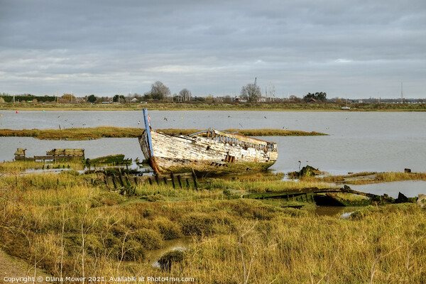 Boat wrecks Maldon Essex  Picture Board by Diana Mower