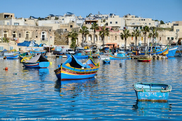 Marsaxlokk Harbour and Village Malta Picture Board by Diana Mower