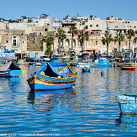 Buy canvas prints of Marsaxlokk Harbour and Village Malta by Diana Mower